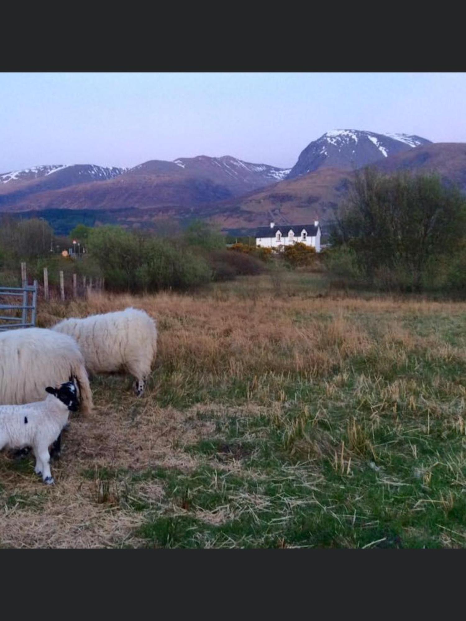 The Shielings By Inverlochy Villas Fort William Kültér fotó